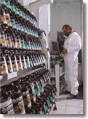 p-p-3envi-01.gif